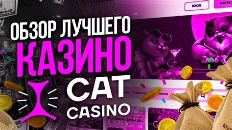 Казино cat на реальные деньги