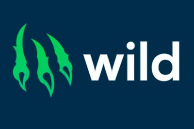 Казино wild-io бесплатно и без регистрации